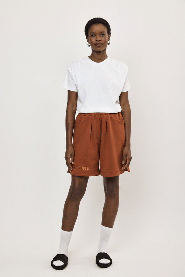 🪻Spring/Summer 2024 - Jordan shorts  - Brick 🧱