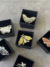 ❤️❤️ Things We Love And Had to Bring to You- Secret Butterfly Pin