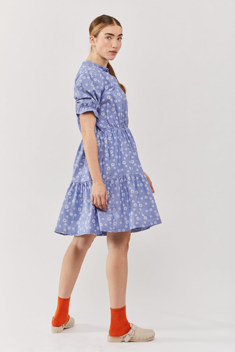 🍦Summer 2022 -Surprise - Denim Bloom